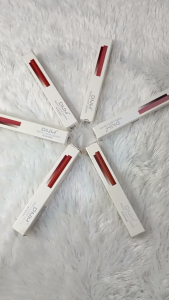 Bundara Ko-173 Waterproof Long lasting Matte DNM Liquid Lipstick Lip cream DNM