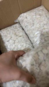 HALAL / Sisik Ikan Siakap / 食甲鱼鳞片/Collagen 胶原蛋白/ 500gram