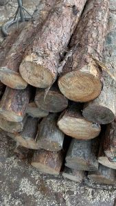 Than thông xay mịn 1kg ( 300 mesh )