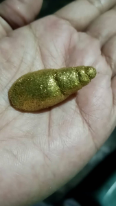 batu kol emas asli membatu nempel magnet