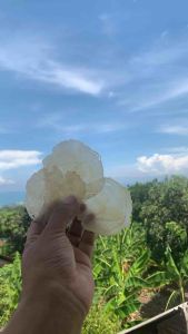 emping melinjo LB super 250gram