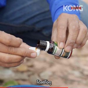 โดส Co2 สำหรับเกษตรกรสวนยาง เร่งน้ำยาง ไหลเร็วไหบนาน เพิ่มปริมาน 5 เท่า