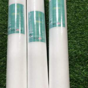 10 lõi lọc nước thô 20 ing