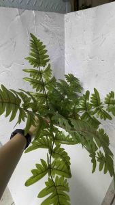 Tanaman Pakis Plastik Imitasi: Dekorasi Interior Modern