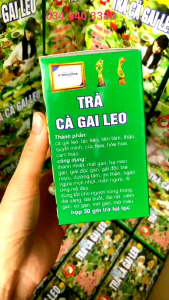 Hộp 50túi Cà gai leo túi lọc Đông Y Dưỡng Sinh Đường giúp thanh nhiệt giải độc mát gan