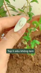 Top lì chống lem giúp chà tráng gương không lem chuyên dụng ngành nail chai 15ML CHINH HANG [ 𝐓𝐔́ 𝐀𝐍𝐇 𝐍𝐀𝐈𝐋 ]