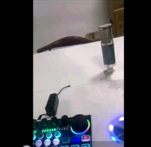 Karaoke KTV Wireless Live Singing Sound Card Speakers Integrated Machine Home Karaoke Bluetooth Boombox For Live Broadcast