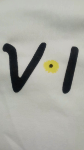 Half Sleeves Round Neck Vibes Print Croptop for Girls