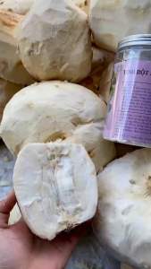 Tinh Bột Sâm tố nữ nguyên chất 100% tăng cường nội tiết tố nữ làm đẹp da chống láo hoá- đặc sản tây bắc 333