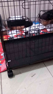 KANDANG KUCING 5 TINGKAT SIZE JUMBO 75CM X 45CM X 150CM