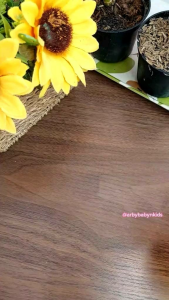 Baby Safe Training Cup With Straw JP019 Botol Minum Bayi / Gelas Cangkir Minum Anak Bayi Usia 6 Bulan Keatas Dengan Sedotan (250ml)