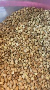 Brown bean  oloyin from Nigeria 1kg /kacang merah