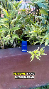 NEW EDITION PERFUME PHERO DIAMOND FOR MEN / WOMEN 30ML ( HIBISCUS EDITION )