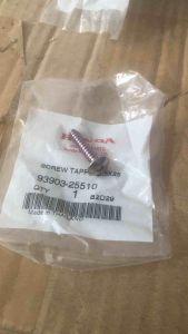 Ốc bắt bao tử Wave  Sp  Fu nhập thái ( Giá 1 Con )