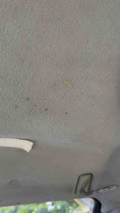 BRIGHT CHEM Car Interior Roof Cleaner ALL PURPOSE (CEILING LEATHER FABRIC SEATBELT DOOR PANEL)