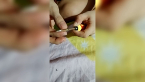 LILY Screwdriver dual purpose flat and Phillip