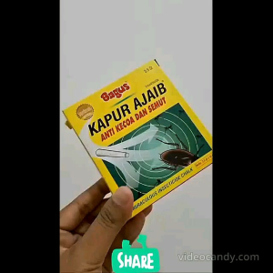 Kapur Ajaib Anti Semut Kecoa / Bunuh Mati Usir Serangga Kutu