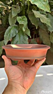 Compo 4 chậu Bát Tràng trồng sen đá bonsai mini