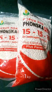 Pupuk NPK PHONSKA Plus: Nutrisi Tanaman yang Tepat