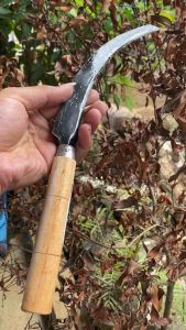 Pisau Panen Padi Bergerigi: Keunggulan & Manfaat