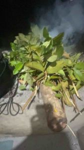 Pindang / kiniing pork meat (smoked pork meat) - marinated in curry leaves