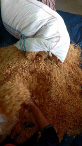 SUPER KERING!!! udang EBI rebon tawar super 1kg