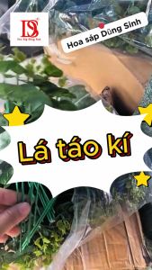 [ C431 ] ( 500 GRAM ) Lá táo rời lá đô La lá táo chưa gắn trang trí bó hoa sáp hoa tươi giỏ hoa quả hộp quà
