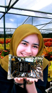Media Tanam Soil Mix: Media Tanam Aroid Super Premium Siap Pakai