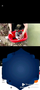 [FREE OLI 100ml] Pompa Apung Floating Pump Alat Siram Bawang Sayuran