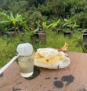 [FreeShip] Mật Ong Trắng Vùng Cao ( Mật Của Hoa Blongsong Thơm Chuẩn Bổ Dưỡng )