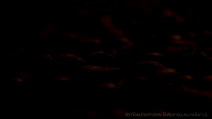 กาแฟ BLAZO COFFEE 5 ห่อ เบลโซ่ คอฟฟี่ เบลโซ 29IN1 กาแฟตราเบลโซ่ (5 ห่อ : 100 ซอง)