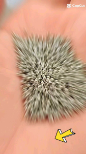 Gói 3g < 200 hạt > Bi bóp 2mm dùng kẹp đầu dâychặn hạt làm đồ handmade.