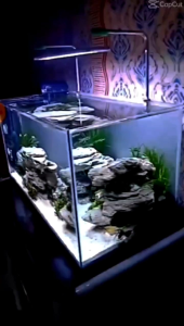 stand Tiang lampu aquarium aquascape DIY tinggi 15cm lebar 20cm diameter pipa 8mm alumunium + besi