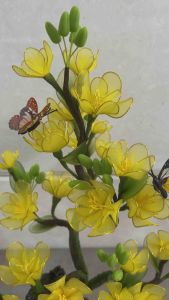 Chậu hoa mai cao 38cm