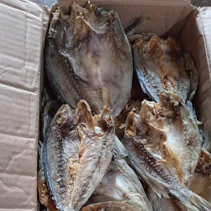 ikan asin kering ikan belah kepala batu campur kuniran ukuran besar n sedang. harga per 1 kg di olah langsung bahan alami. rasa enak n tidak terlalu asin. kuwalitas super premium terbaik benar2 kering bukan basah