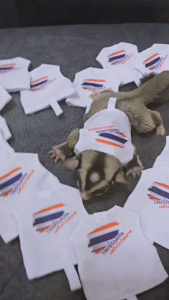 เสื้อสำหรับชูก้า ไทยนี้รักสงบ แต่ถึงรบไม่ขลาด