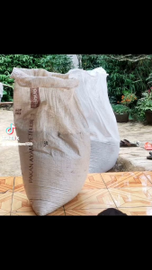 Benih Padi Beras Merah Pulen Terbaik 1 Kg