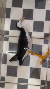 Patung pemikat burung ruak ruak sawah