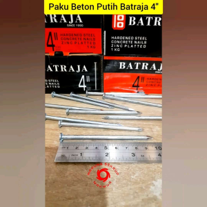 (10 pcs) Paku Beton Putih 4 Inch / Paku Tembok 10CM