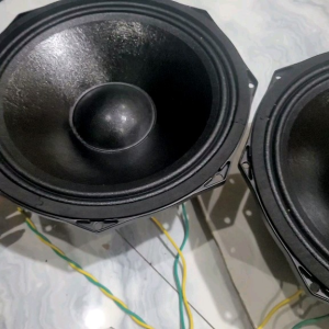 Bass 30 coil 65 từ 170 NX Sườn nhôm màng tẩm keo chống nước