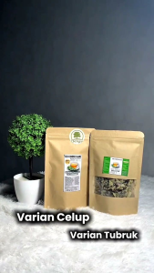Teh Herbal Daun Cincau Hijau | Sehatkan Pencernaan Atasi Asam lambung panas dalam dll