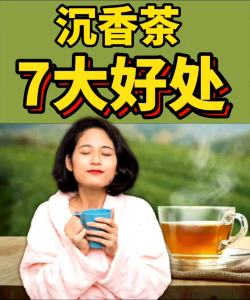 Happy Turtle Agarwood Tea Non-caffeine Sleeping Tea (20 sachets) | Teh Gaharu Cap Kura-Kura tanpa kaffein (20 paket) | 快乐龟沉香茶 (20茶包装）