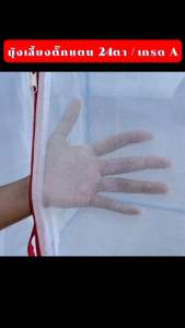 กระชั่งตั๊กแตน ผ้ามูง 24ตา สูงรวม 1.8ม. กระชั่งเลี้ยงตั๊กแตน มูงตั๊กแตน ตั๊กแตนปาทังกา