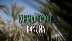 Kurma Medjool Palestina Jumbo 500gr: Manfaat & Diet
