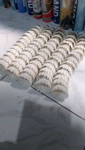 kok bekas bulutangkis bagus sangat layak pakai untuk pemain pro atau semi pro 95%++