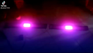 Lampu strobo siren patrol WS 2811 rapat 4 baris 60cm x 2