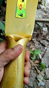 dodos camel gold imj original 4 inchi