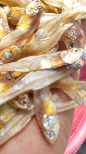 ปลามะลิMaLi ...900gm (9ขีด(