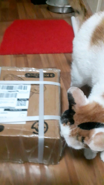 Buyer review video 3