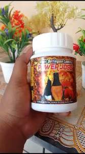 VOUR MBB POWER JOS settingan lomba burung